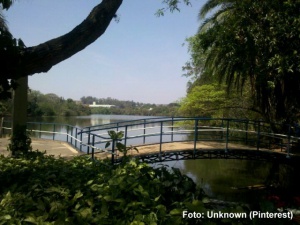 Parque Ecológico Bosque Hermógenes de Freitas Leitão